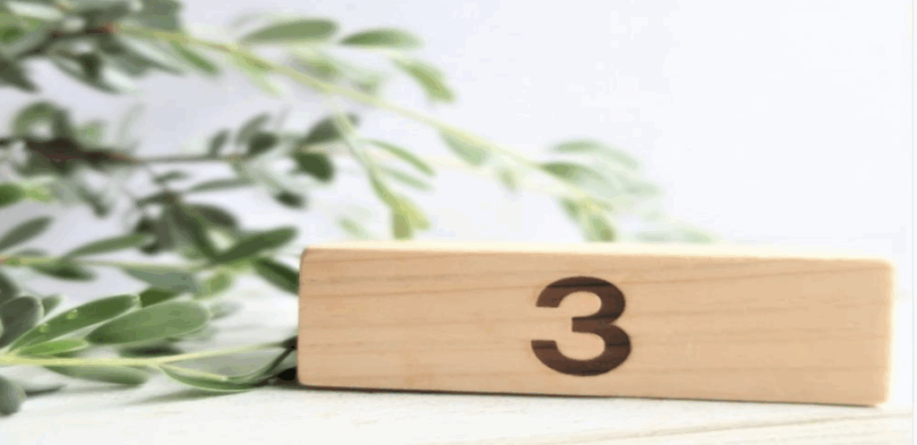 数字の「3」が刻まれた木のブロックと植物